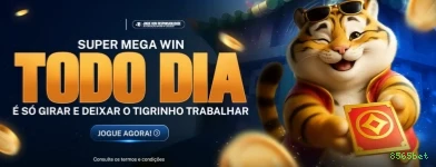 Termos de Serviço 8565bet